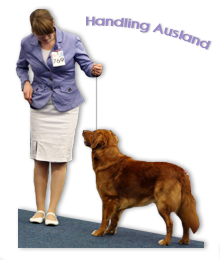 Handling Ausland