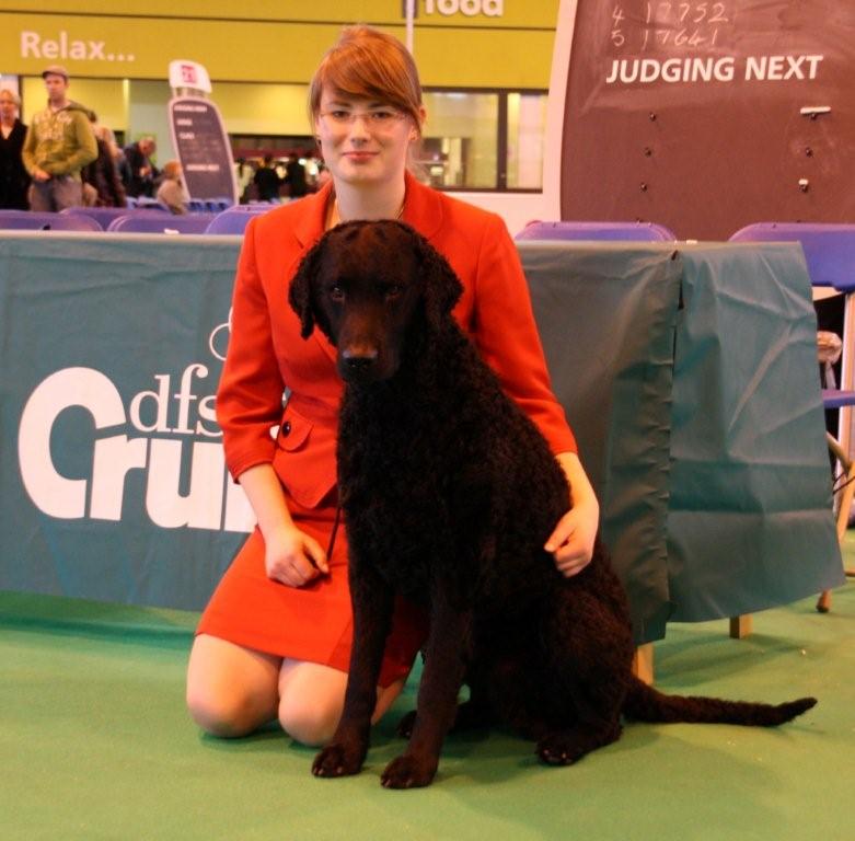 Finn_crufts
